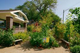 Growing Traditions milpa garden in partnership with Artes de Mexico en Utah
