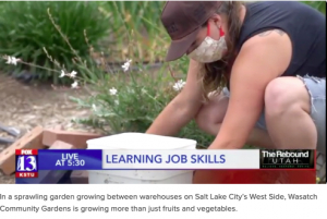 Green Phoenix Farm Programs Highlight