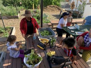 Family Garden Gatherings