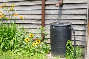 Rainwater Harvesting