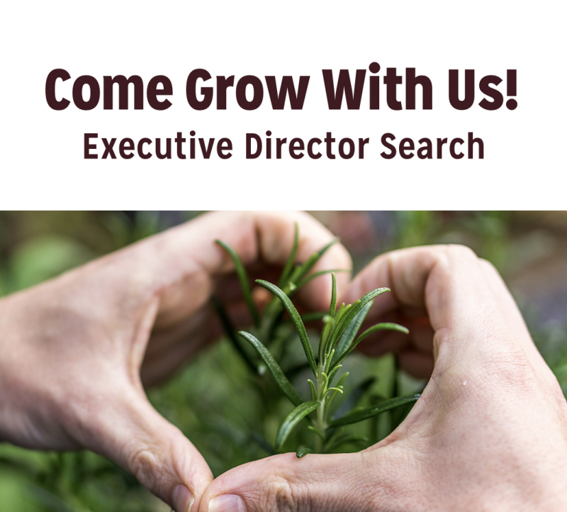 We&#039;re Hiring for an Executive Director