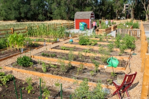 Garden of Wheadon Community Garden
