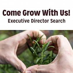 We're Hiring for an Executive Director