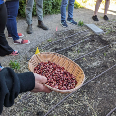 PXL_20240524_003557789