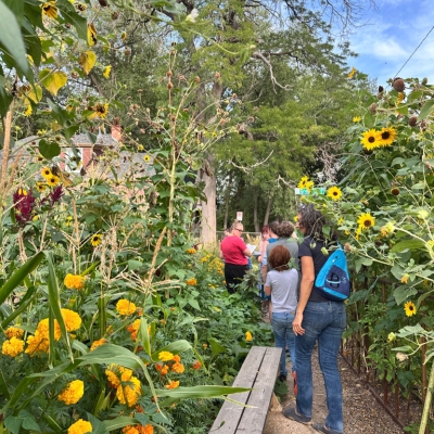 School Garden Leadership Network