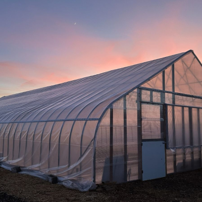 IMG_7349_20250102_174429 (10)