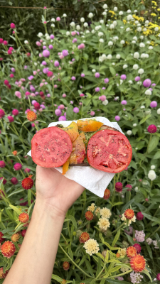 2025_MED_TomatoSandwichParty_79 (2)